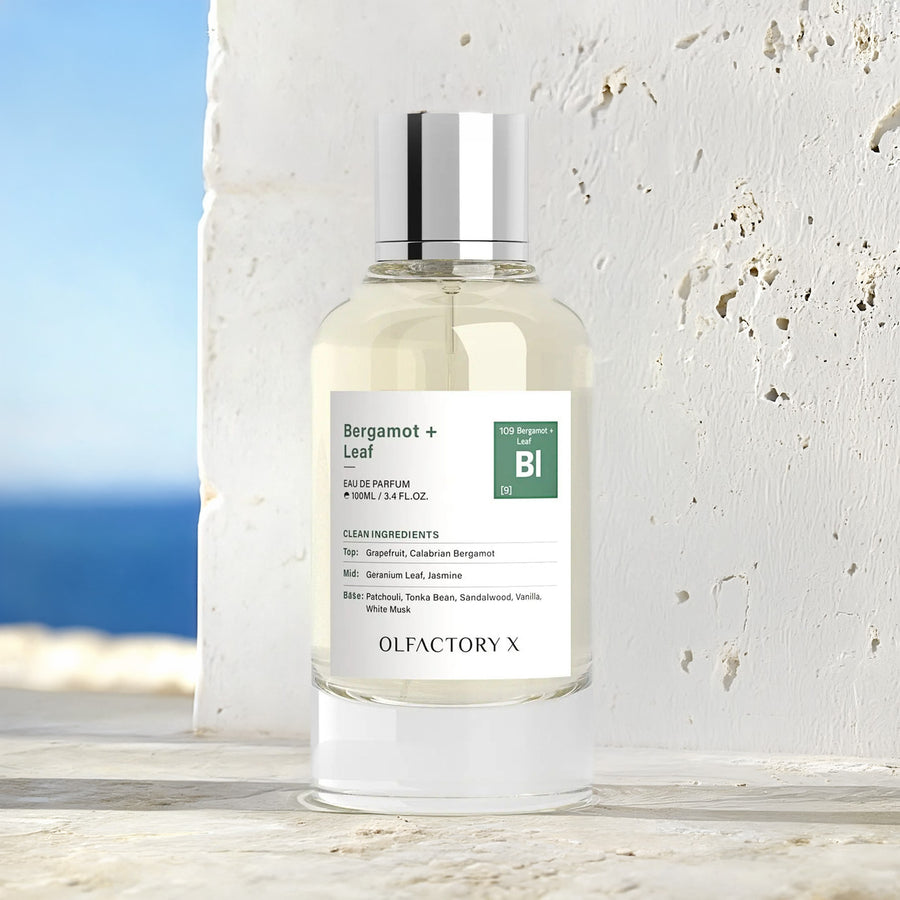 Olfactory X Bergamot + Leaf