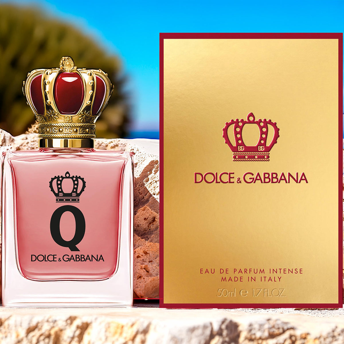 Dolce & Gabbana Q Intense For Women