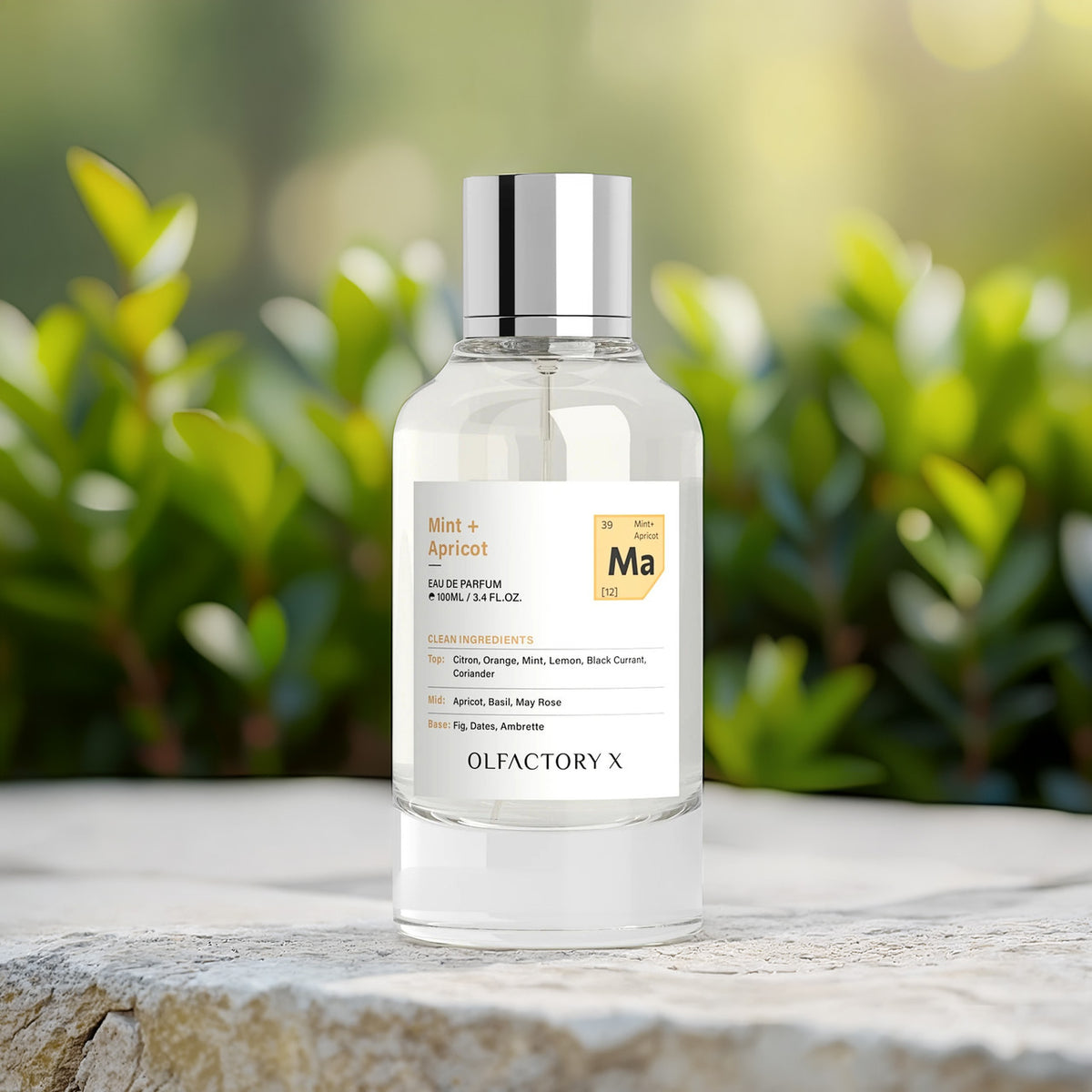 Olfactory X Mint + Apricot