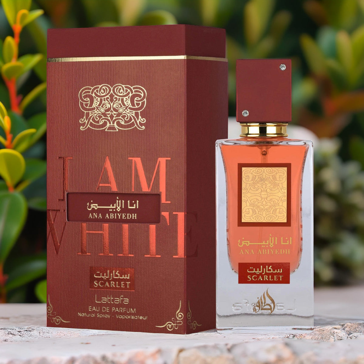 Lattafa Ana Abiyedh Scarlet For Women 2 oz Eau De Parfum Spray